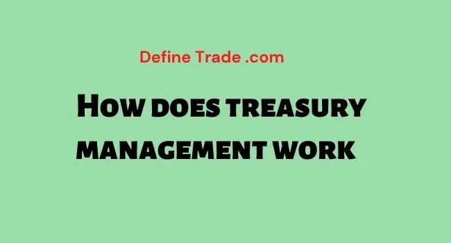 How does treasury management work