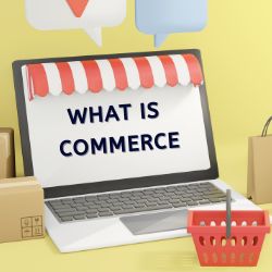What is commerce