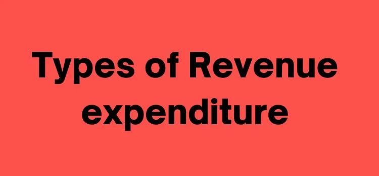 Types of revenue expenditure