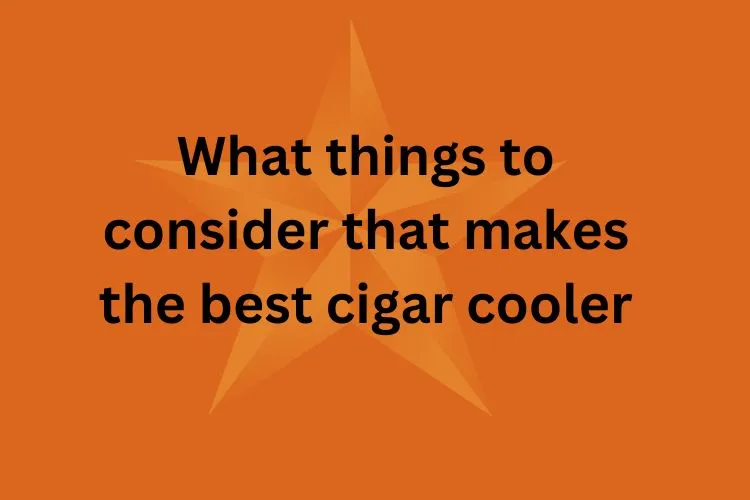 What things to consider that makes the best cigar cooler?